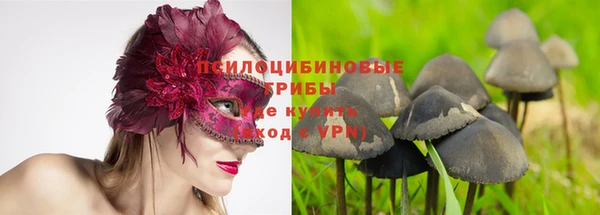 молекула духа Покачи